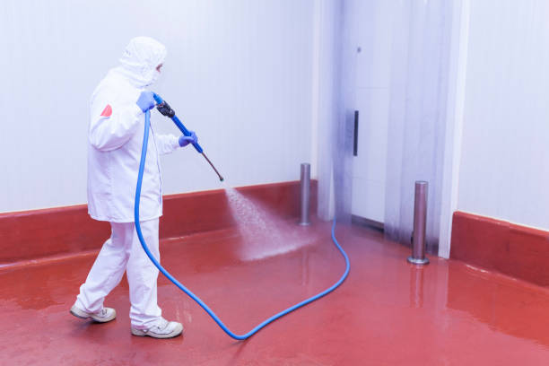 Best Solar Panel Cleaning  in Zion, PA